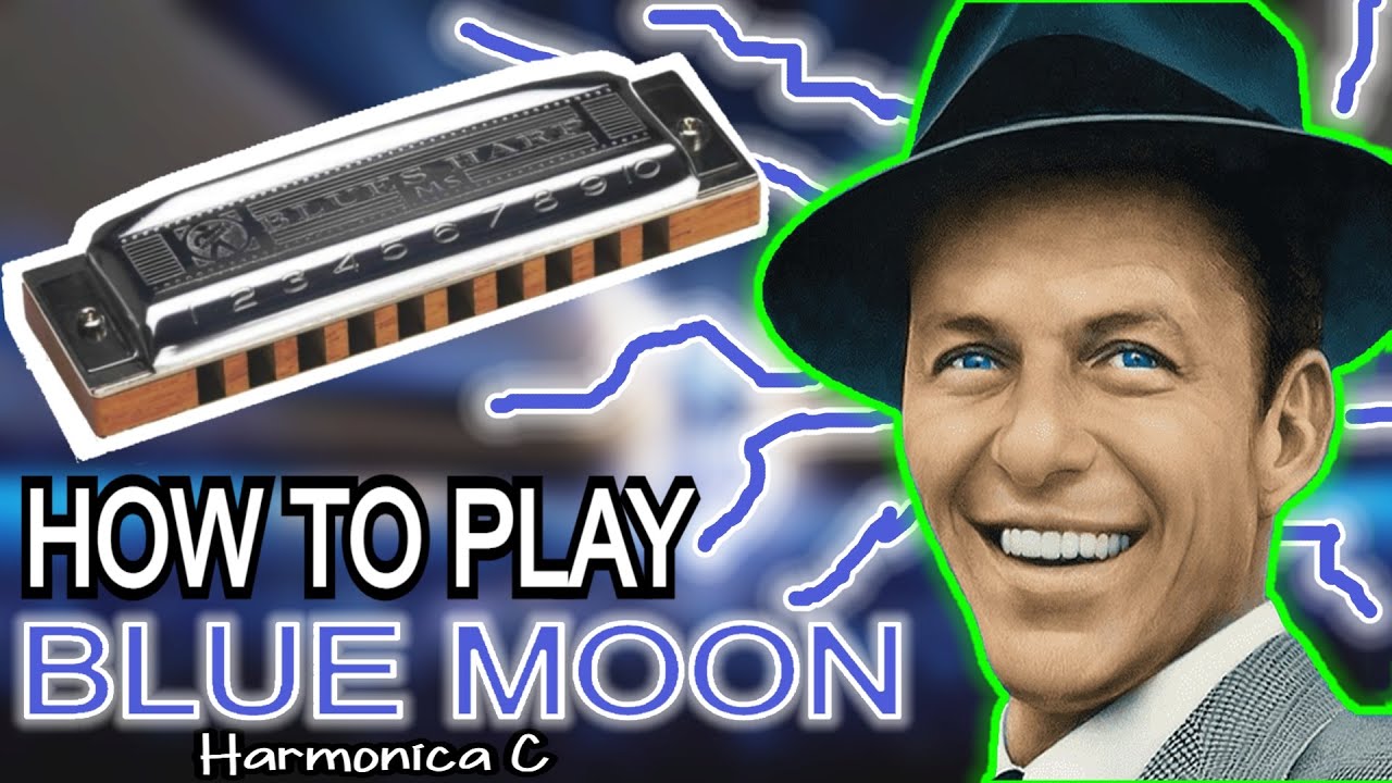BLUE MOON HARMONICA ( C DIATONIC ), ARMÓNICA C, BLUES HARP C, GAITA DE