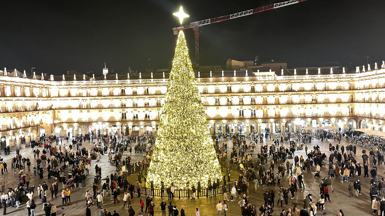 Árbol de Navidad 2024 Plaza Mayor de Salamanca