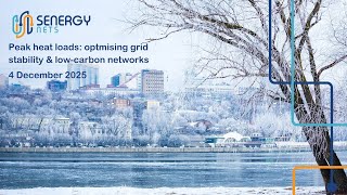 Famous 04/12/2025: 2nd Policy Workshop - Peak heat loads: optimising grid stability & low-carbon networks Net Worth