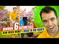 Running 6 Businesses: How Much Money I Made in One Month