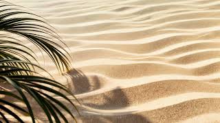 4K Free Stock Footage: Gentle Palm Shadows Over Sunlit Sand Ripples