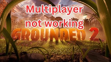 How to fix grounded 2 multiplayer not working