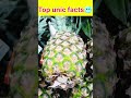 history ki shortest kab hui thi "top unic facts🥶#shorts #shortvideo #trending 🔥🔥#amazing facts