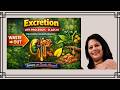 Class 10 Science | Life Processes – Excretion