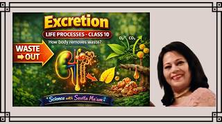 Class 10 Science | Life Processes – Excretion