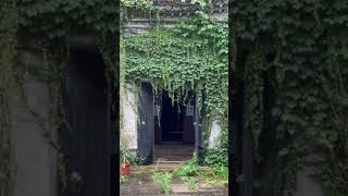 Abandoned Chinese Courtyard in the Rain #shorts