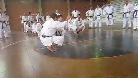 Asai-ryu karate, Karate body exercise, Balance from squatting, Mae geri to the hands above head