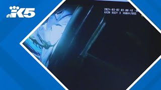 Dashcam video shows suspect speeding before crash that killed state trooper