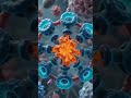 ☠️🧬 Why Do Cells Commit Suicide?