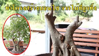 Bonsai Station [Workshop Station] EP.90 ทำโครงสร้างบอนไซ จากไม้ที่ถูกทิ้ง 