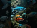 Colores de unión en el río amazónico. Crónicas del Reino Animal.