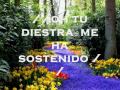 Temprano yo te buscare