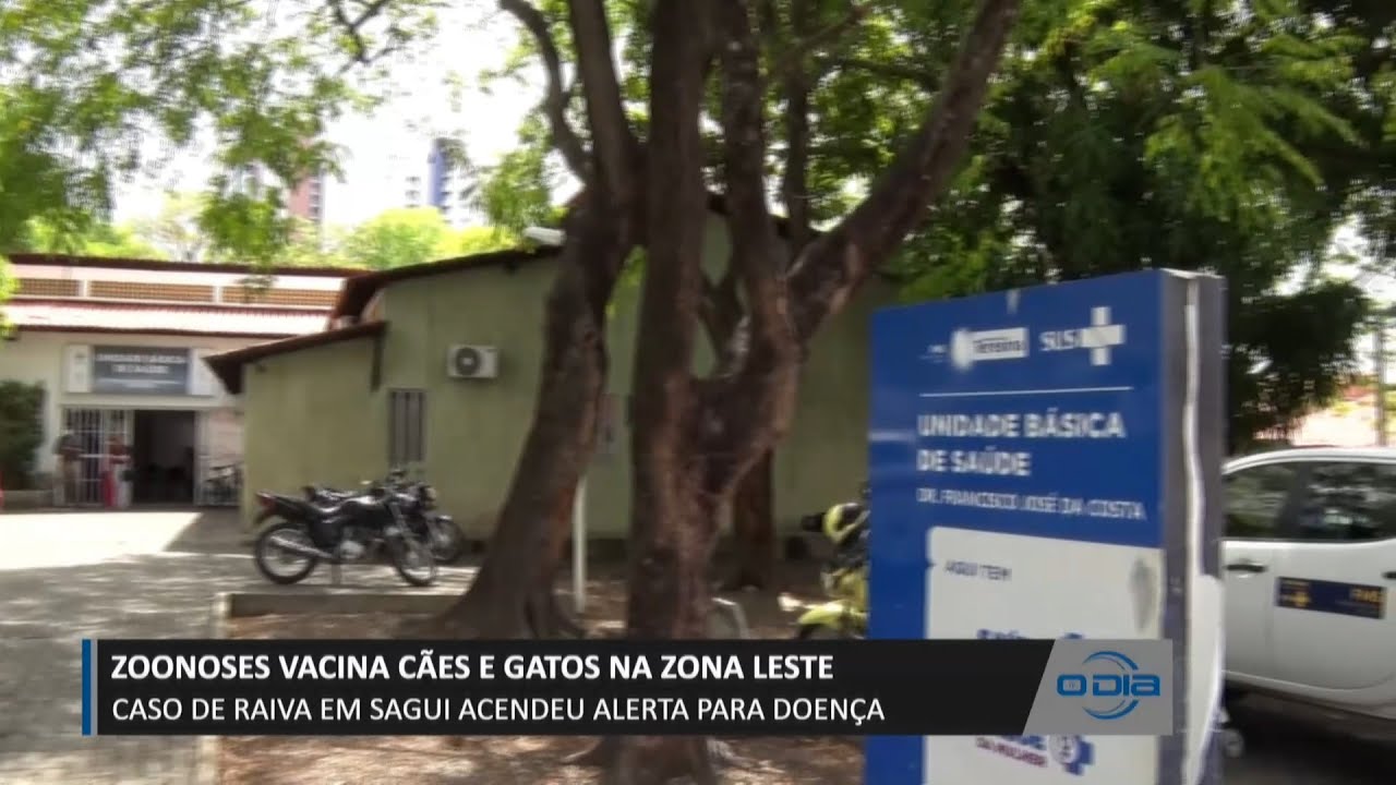 Zoonoses vacina cães e gatos na zona leste após identificarem caso de Raiva em sagui 23 11 2023