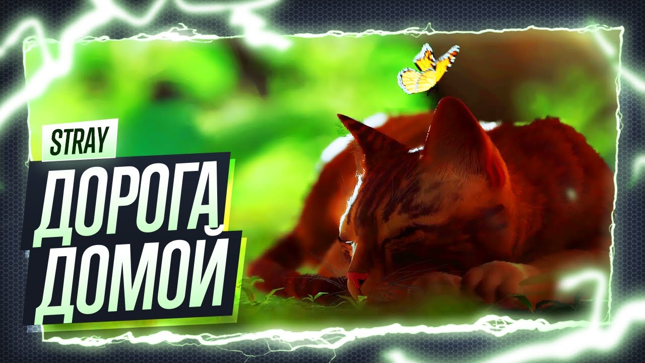 Возвращение кота Stray ◉ Улицы большого города