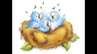 Pecha Kucha Music Ed