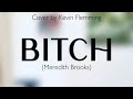 Bitch meredith brooks  cover by kevin flemming