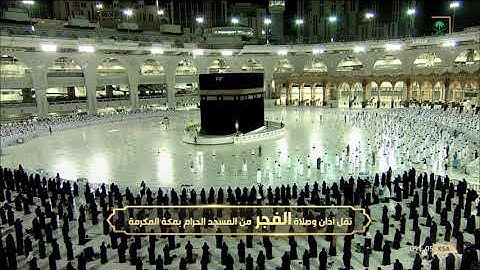 فجر الثلاثاء 23-1-1443هـ فواتح سورة الجاثية  |للشيخ ياسر الدوسري