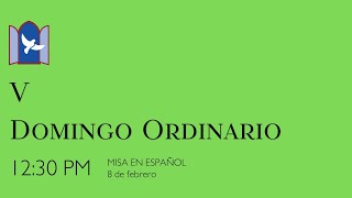 8 de febrero, 2026  - 12:30pm Misa EN VIVO - V Domingo Ordinario
