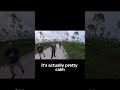 Cottonmouth Snake Caught on Insta360 X4 – Dual Angles!