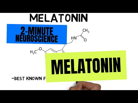 2-Minute Neuroscience: Melatonin