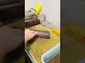 【包丁磨き】汚れている菜切り包丁を3Mスポンジ研磨剤で磨く動画です♪ Polishing #shorts