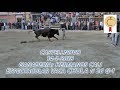 TOROS CASTELLNOVO HERMANOS CALI CON LA &quot;CHULA&quot; 14-1-2018