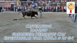 TOROS CASTELLNOVO HERMANOS CALI CON LA &quot;CHULA&quot; 14-1-2018