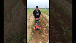 300 के तेल में पूरा खेत की जुताई कर देने वाला पावर टिलर। mini tractor | power tiller | power weeder