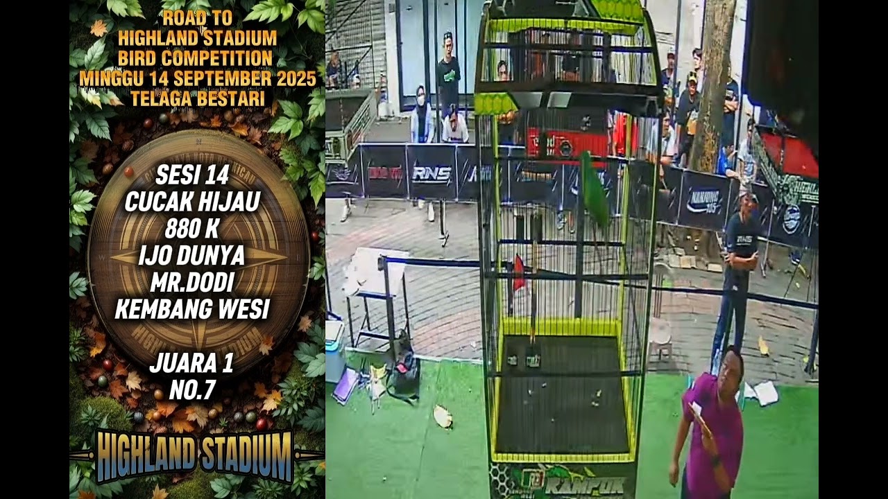 JUARA 1 IJO DUNYA MR.DODI KEMBANG WESI