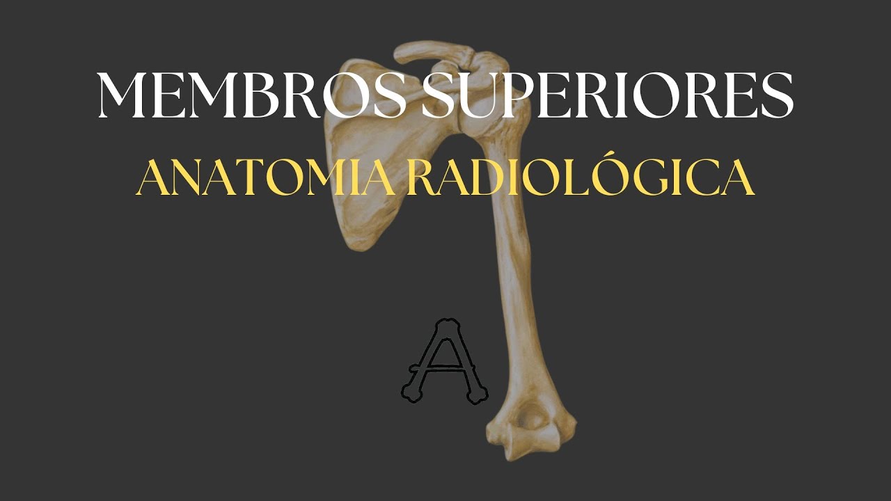 MEMBROS SUPERIORES | Anatomia Radiológica