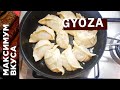Гёдза Gyoza японские пельмешки dumplings