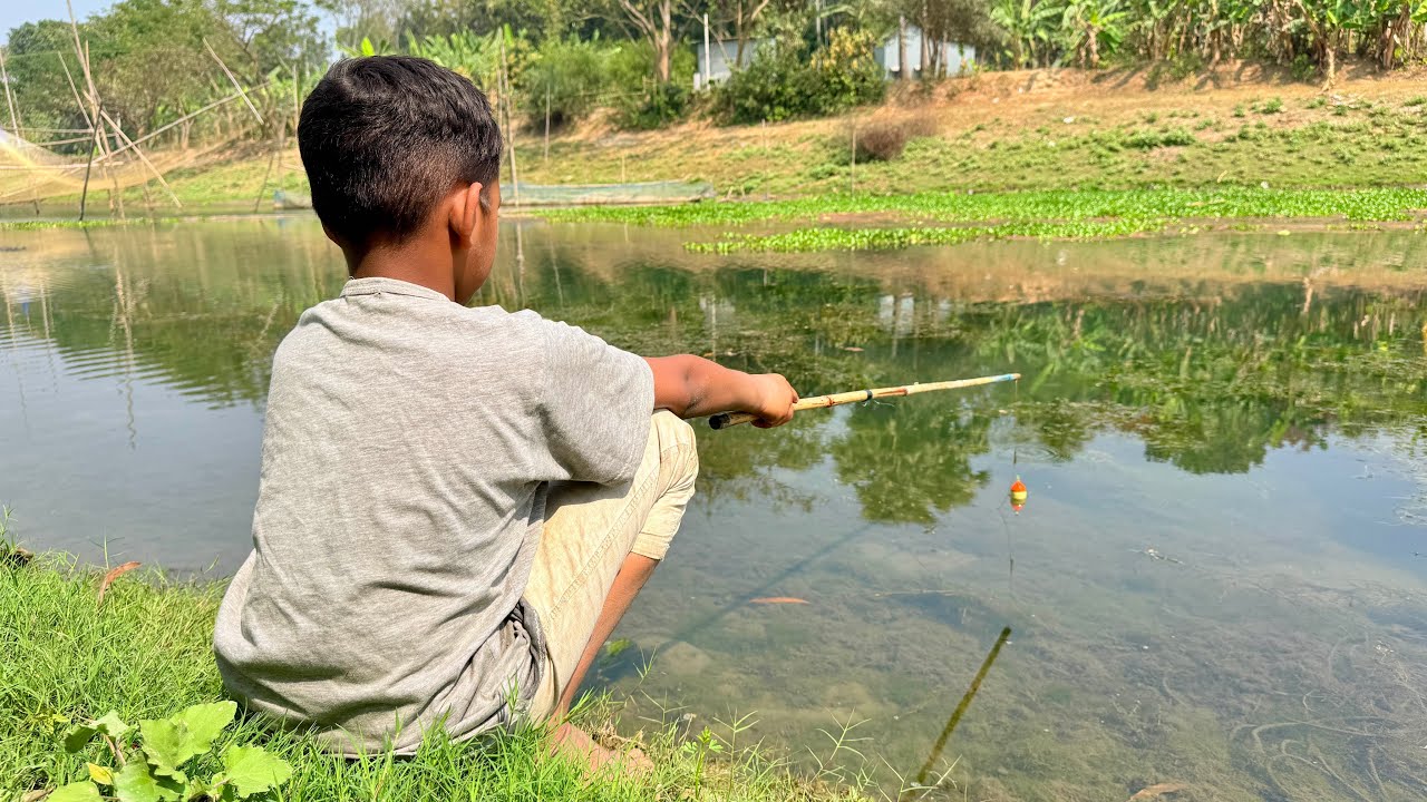 Unbelievable Fish Catching Technique ✅| Village Smart Boy Fishing With Hook ~ Рыбалка Видео part-02