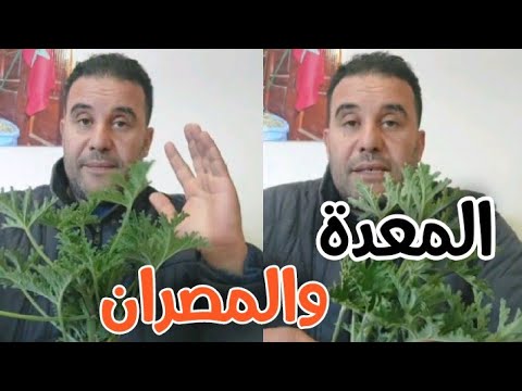 أحسن علا ج للمصران والمعدة مع محمد زين الدين