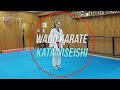 Wadokai wadoryu karate training kata niseishi