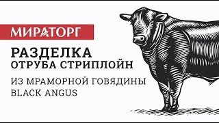 Разделка отруба Стриплойн из мраморной говядины Black Angus