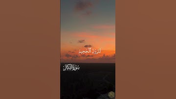 Surat At-Takathur - Sheikh Maher Al Muaiqly | سورة التكاثر - الشيخ ماهر المعيقلي