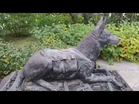 Прогулки по Москве. От граффити до памятника. Памятник фронтовой собаке.