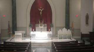 Sunday 11:00 am Mass