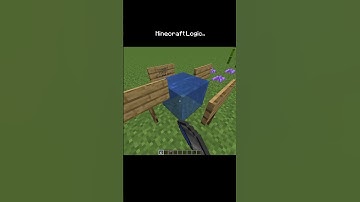 Minecraft Logic is broken #minecraft
