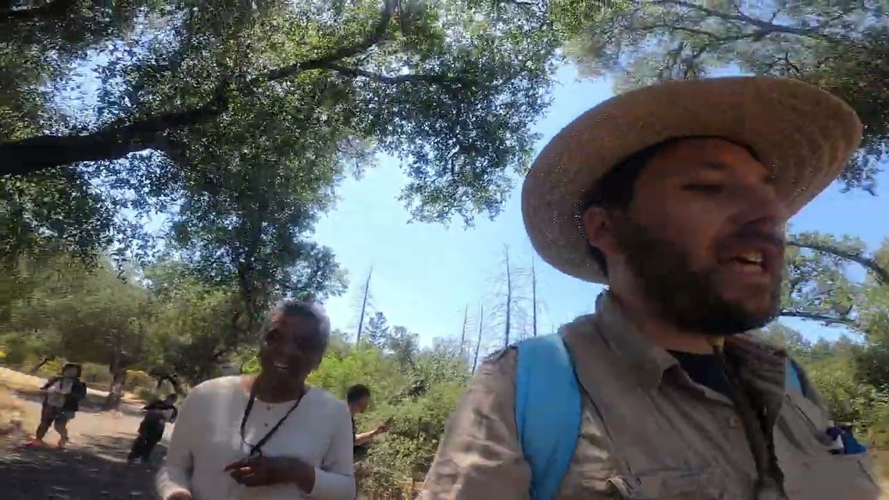 Petrified Forest 06-05-2025 Part 2