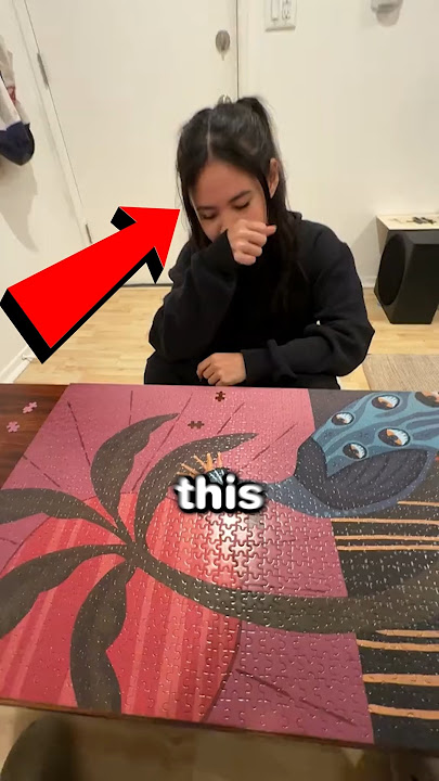 Why Would Anyone Do This to a 1000 Piece Puzzle?