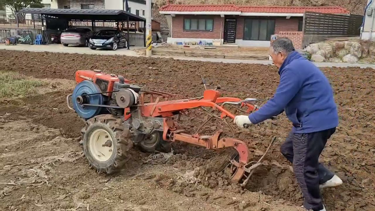 아버님과 어정쩡한 아드님(봄맞이)2024년3월11일