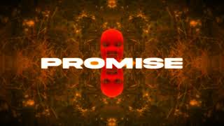 [BassHouse] ZAMER - Promise (Music Video)