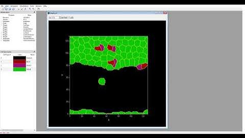 Polarized cells crawling and invading a tissue in CompuCell3D