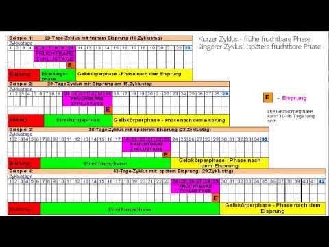 Video: Verheißungsvolle Tage für die Empfängnis im September 2021