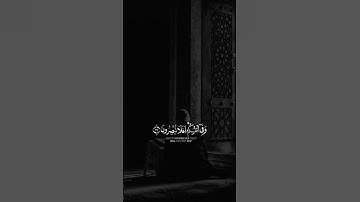 سورة الذاريات 🤍 #سورة_الذاريات #قران_كريم #تلاوة_خاشعة #اكسبلور #لايك_للمقطع