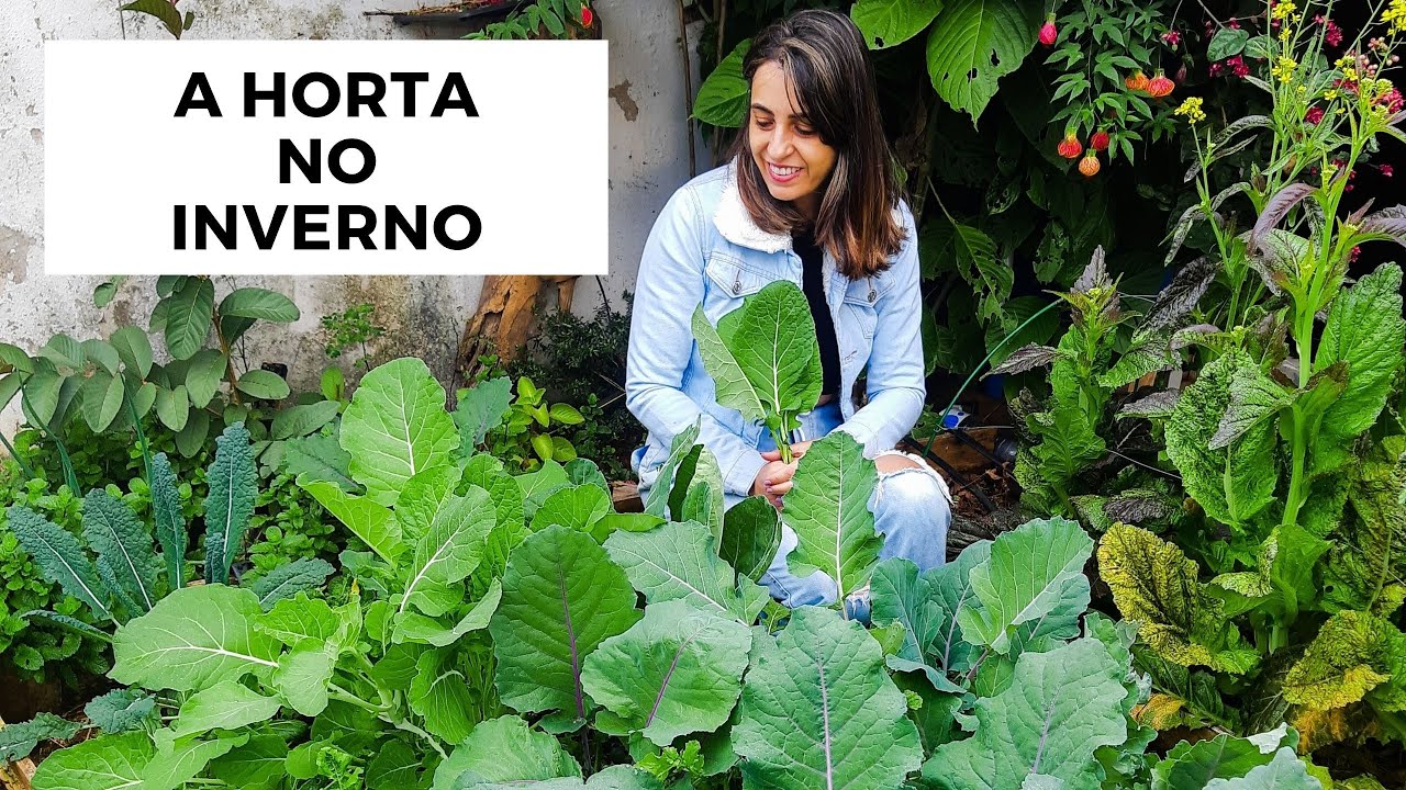 O que plantar e como cuidar da horta no inverno