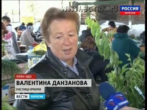 Вести Бурятия  20 30  Эфир от 26 08