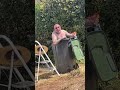 Swim In The Bin Swim In The Bin