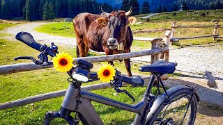 Riese & Muller DELITE Rohloff 625 Watt eBike Mountain Trails @ Brenta Dolomites, TN - Italy 🇮🇹